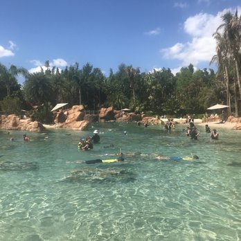 Discovery Cove - Amusement Parks Near Me - Orlando, Florida