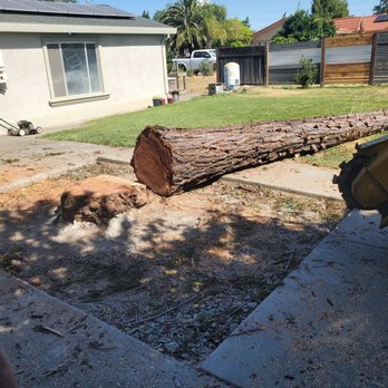 Valley Tree Service - a fallen tree in a yard - Tree Services Near Me Valley Tree Service - a fallen tree in a yard - Tree Services Near Me