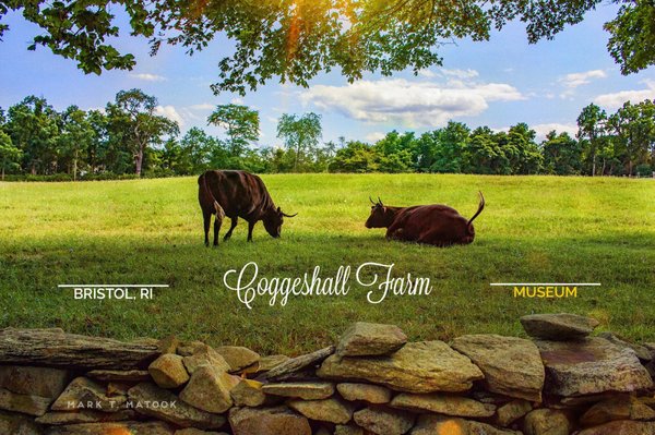 Coggeshall Farm Museum by null