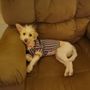Bernalillo County Animal Care & Resource Center