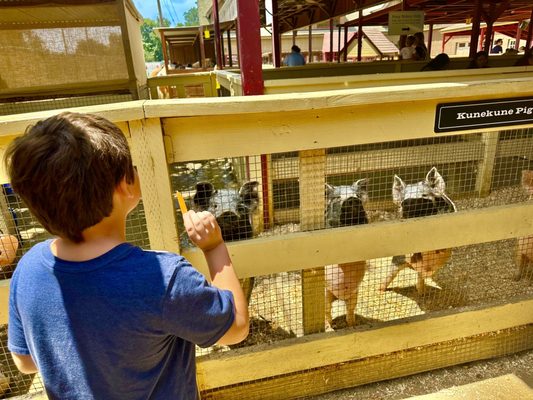 River Street Ranch by null