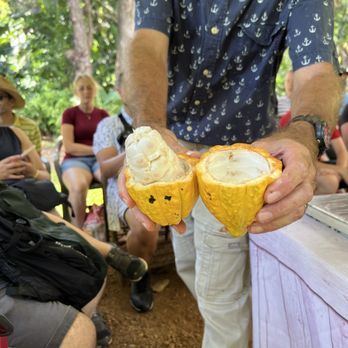 21 Degrees Estate - The bean with the pulp is delicious! - Tours Near Me - Kaneohe, Hawaii