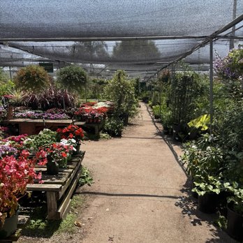 Hashimoto Nursery - Home & Garden Near Me - Los Angeles, California Hashimoto Nursery - Home & Garden Near Me - Los Angeles, California