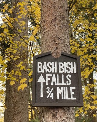 Bash Bish Falls by null