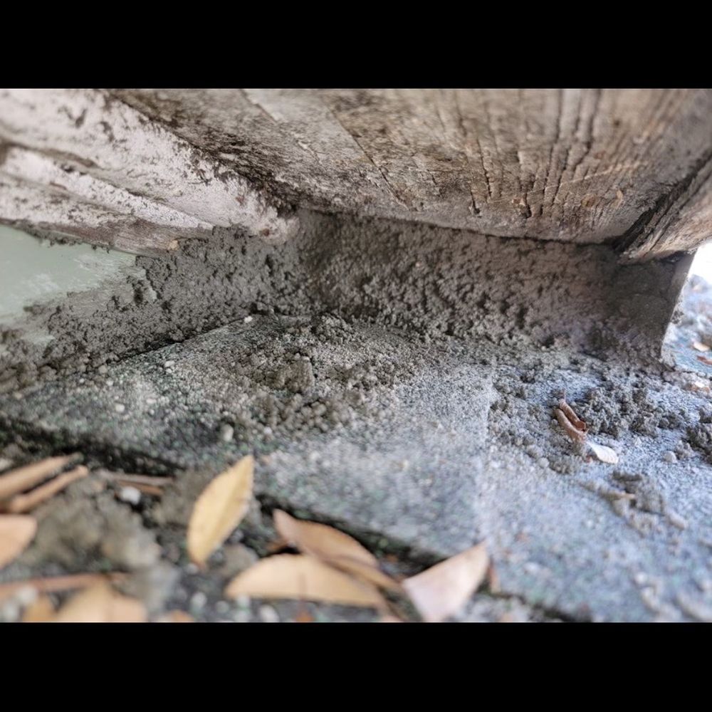 360 Rodent Control - Pest Control Near Me