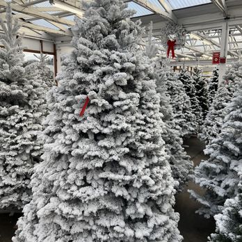 Carpinito Brothers - Nurseries & Gardening Near Me - Kent, Washington