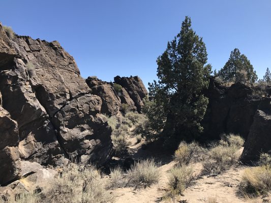Oregon Badlands Wilderness by null