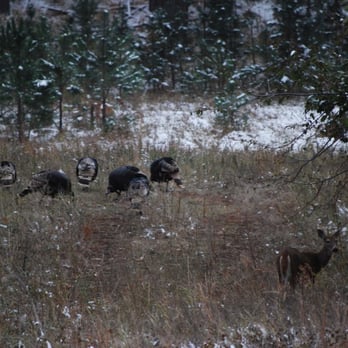 Custer State Park - Parks Near Me - Custer, South Dakota