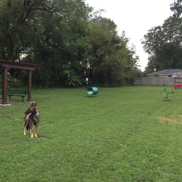 Dog park Dog park