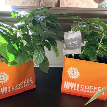 Idyll Coffee Roasters - Coffee Roasteries Near Me - Wauwatosa, Wisconsin Idyll Coffee Roasters - Coffee Roasteries Near Me - Wauwatosa, Wisconsin