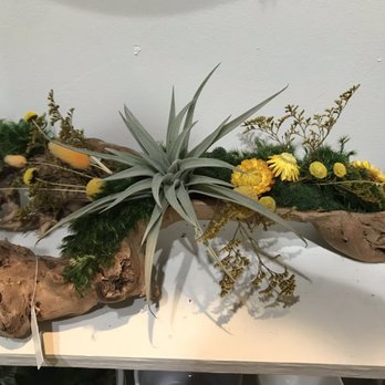 Craftmossphere - Nurseries & Gardening Near Me - San Diego, California