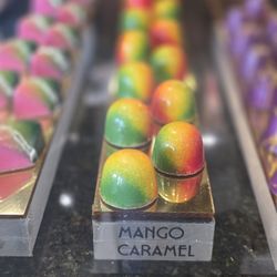 Cacao & Cardamom Chocolatier