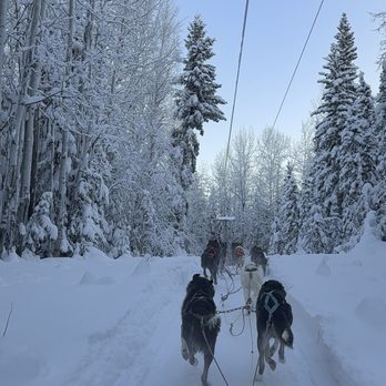Alaska's Trail King Adventures - Tours Near Me - Salcha, Alaska Alaska's Trail King Adventures - Tours Near Me - Salcha, Alaska