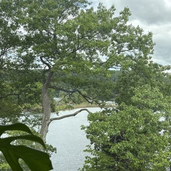 2 Queens Coffee - The view from our comfy eating spot. - Honey Near Me - Narrowsburg, New York