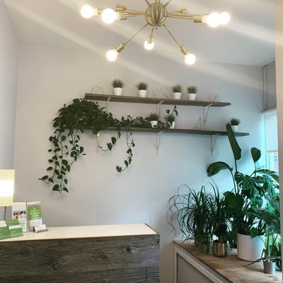 MyoCare Registered Massage Therapy + Wellness by null