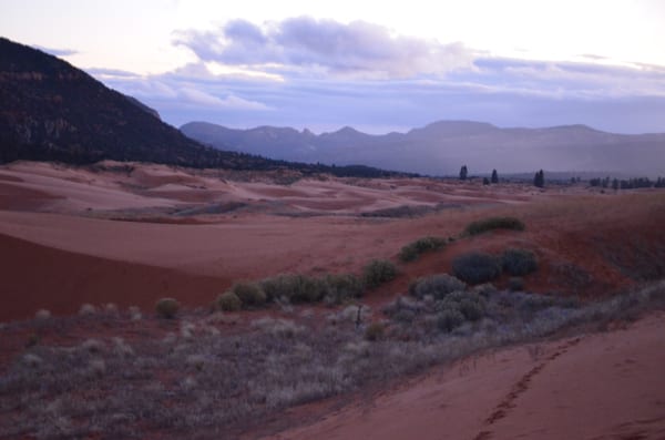 Coral Pink Sand Dunes State Park by null