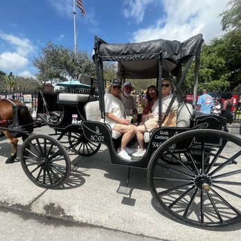 Royal Carriages - Private tour - Historical Tours Near Me - New Orleans, Louisiana