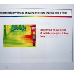 Applegate Alexander & Co - Thermography image identifying heavy areas of moisture