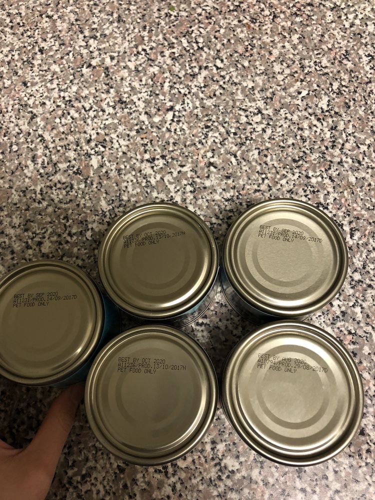 PETCO 24 Reviews 1140 Woodruff Rd, Greenville, South Carolina Pet