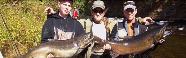 Fox Hollow Lodge by null