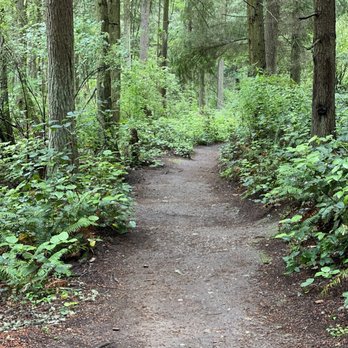 Price Sculpture Forest - Parks Near Me - Coupeville, Washington Price Sculpture Forest - Parks Near Me - Coupeville, Washington