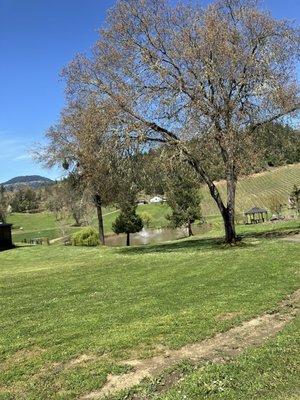 Reustle-Prayer Rock Vineyards by null