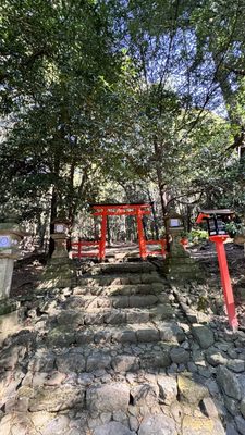 Kasugataisha Shrine by null