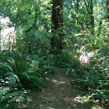 Seward Park Audubon Center - Amother one of the hiking paths in the middle of the loop. - Visitor Centers Near Me - Seattle, Washington Seward Park Audubon Center - Amother one of the hiking paths in the middle of the loop. - Visitor Centers Near Me - Seattle, Washington