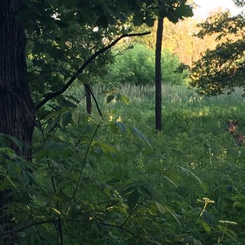 Oldfield Oaks - Parks Near Me - Darien, Illinois