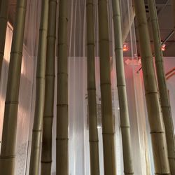 Bamboo Decor