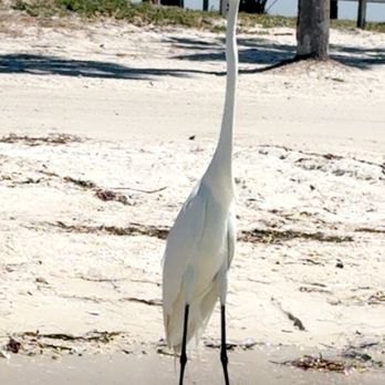 Paddle Shack Paddle Sports - Paddleboarding Near Me Paddle Shack Paddle Sports - Paddleboarding Near Me