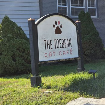 The Toebean Cat Cafe - The sign of the business placed in the front yard of the house. - Desserts Near Me - Roanoke, Virginia The Toebean Cat Cafe - The sign of the business placed in the front yard of the house. - Desserts Near Me - Roanoke, Virginia