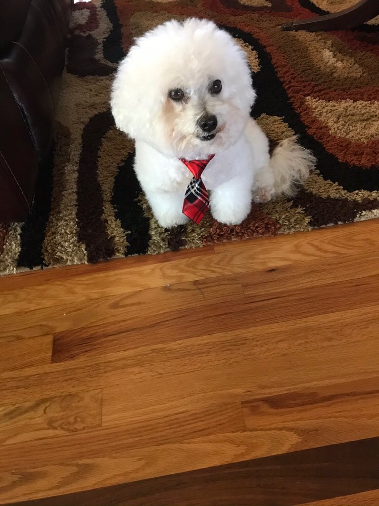 SUNNYSIDE GROOMING SALON Updated October 2024 15 Reviews 10 Reid