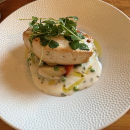 Swordfish