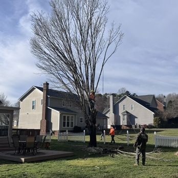 Kelley's Tree Services - Tree Services Near Me - Monroe, North Carolina