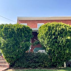 BBO Landscape - Before we trimmed these large shrubs