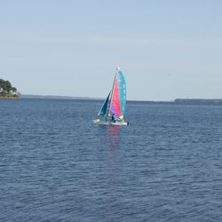 Green Turtle Bay Resort & Marina