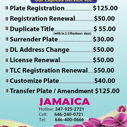 DMV Express Service - Jamaica