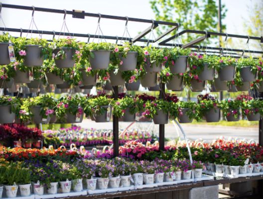 Lowe's Home Improvement by null