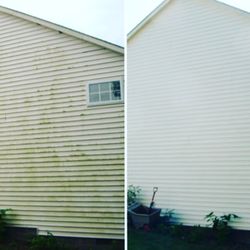 Southern Green Lawn Care - We brought this house back to life!! Amazing results.