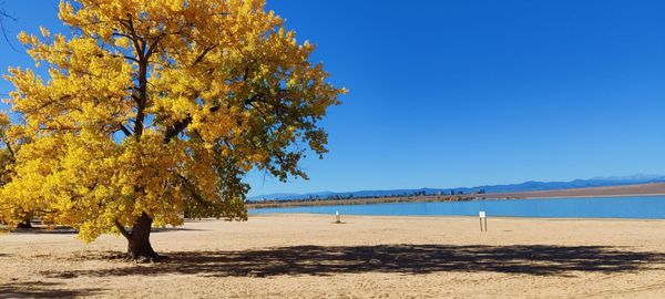Cherry Creek State Park by null