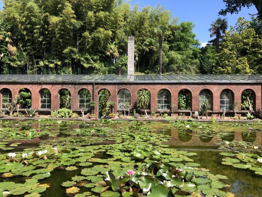Giardini Botanici di Villa Taranto by null