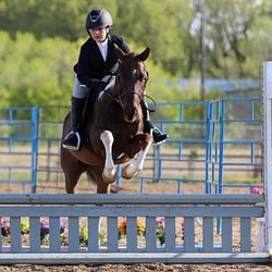 Thorbrooke Equestrian