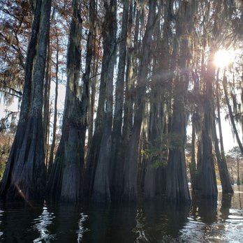 McGee's Swamp Tours - Boat Tours Near Me - Breaux Bridge, Louisiana McGee's Swamp Tours - Boat Tours Near Me - Breaux Bridge, Louisiana