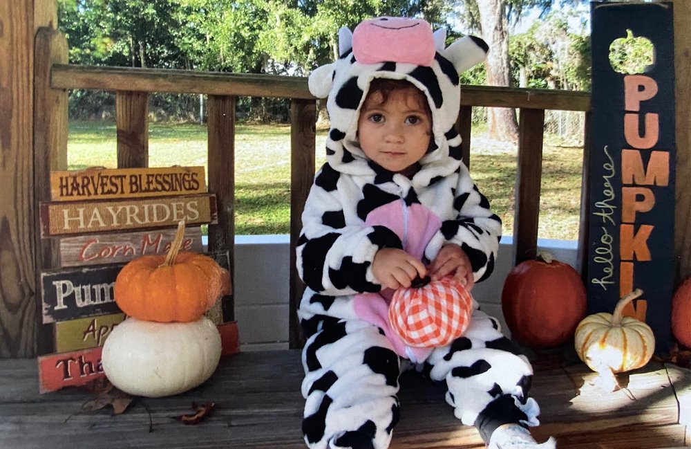 Southpoint Early Learning Center - childcare center in Jacksonville, FL