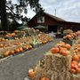 Photo of Hale's Apple Farm