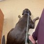 Photo of West Shore Animal Hospital