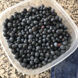 Blueberry Havens - Blueberries, blueberry picking