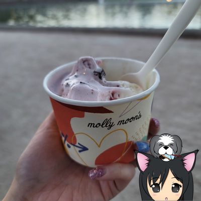 Molly Moon's Homemade Ice Cream Bellevue by null