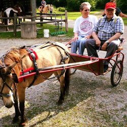 Children's Pony Ranch